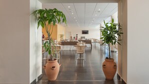 A spacious indoor area with a long table set for dining, flanked by large terracotta pots with plants, and a television mounted on the wall.