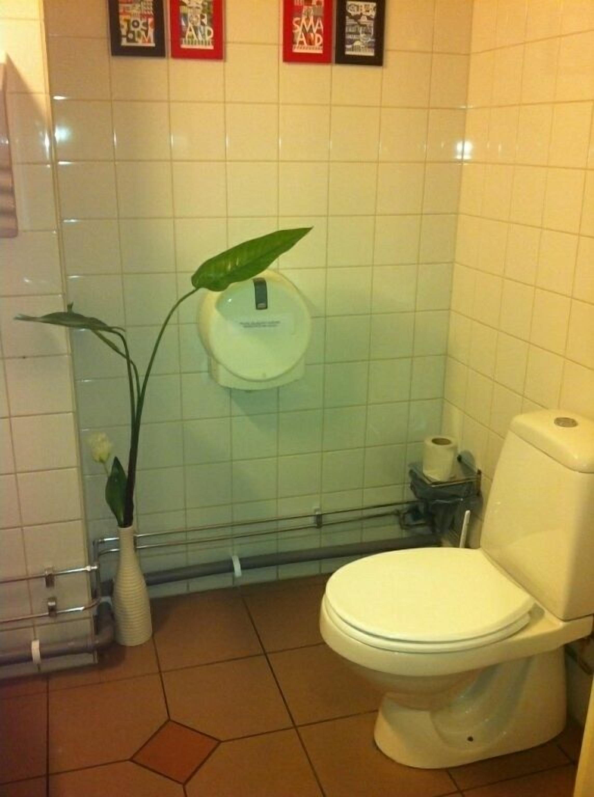 A bathroom with a toilet, a sink, and a plant.