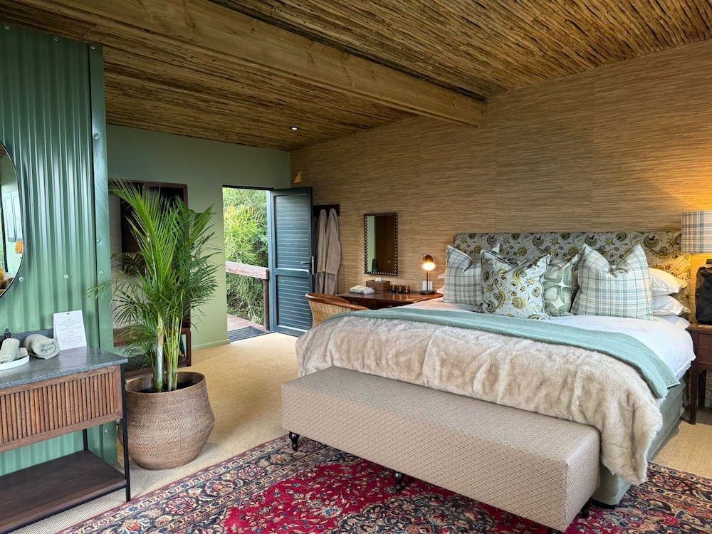 Camp Figtree by The Oyster Collection by null