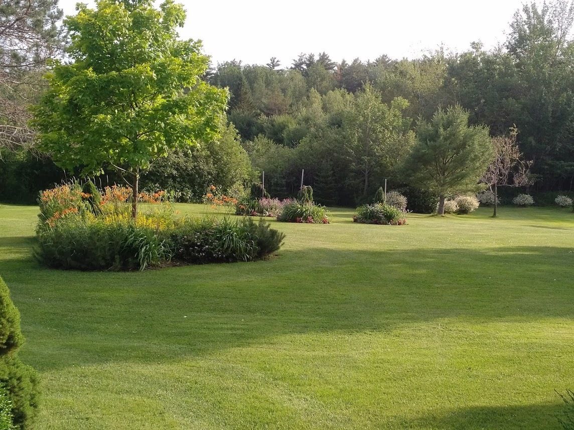 A well-maintained garden with manicured lawns, various shrubs, and flowering plants.