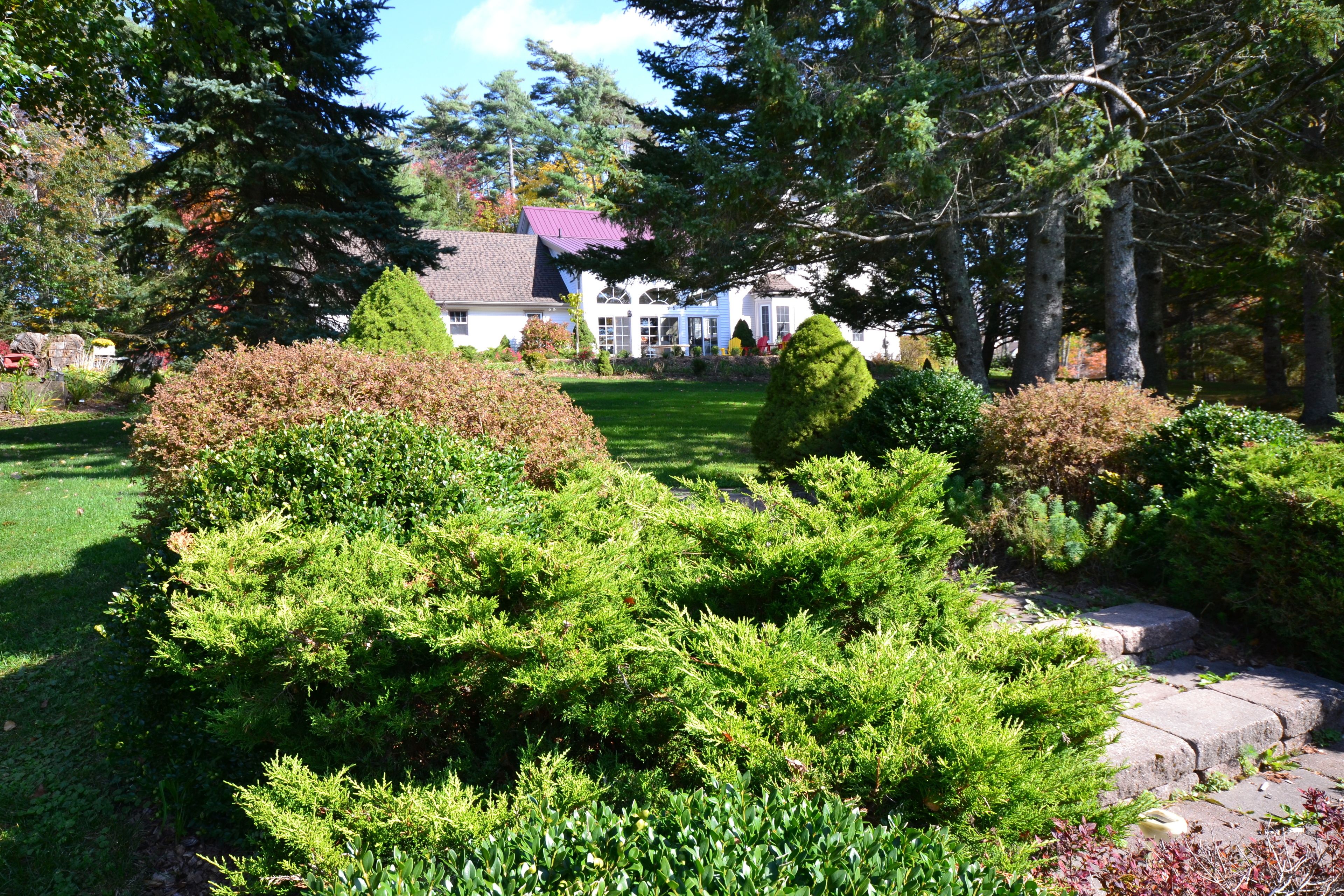 A well-maintained garden with various shrubs and a stone pathway leading to a building with a red roof.