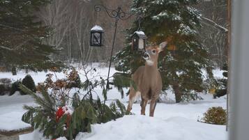 A deer standing in a snowy garden with evergreen trees and birdhouses.