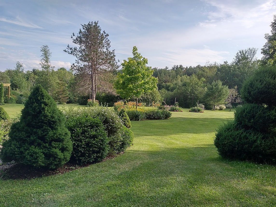 Un jardin bien entretenu, avec différents arbres et arbustes, un ciel dégagé et une pelouse soigneusement taillée.