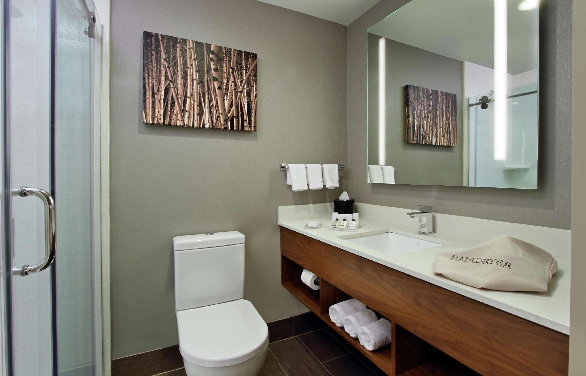 Baño | Regadera, amenidades de baño de diseñador, secadora de cabello, toallas 