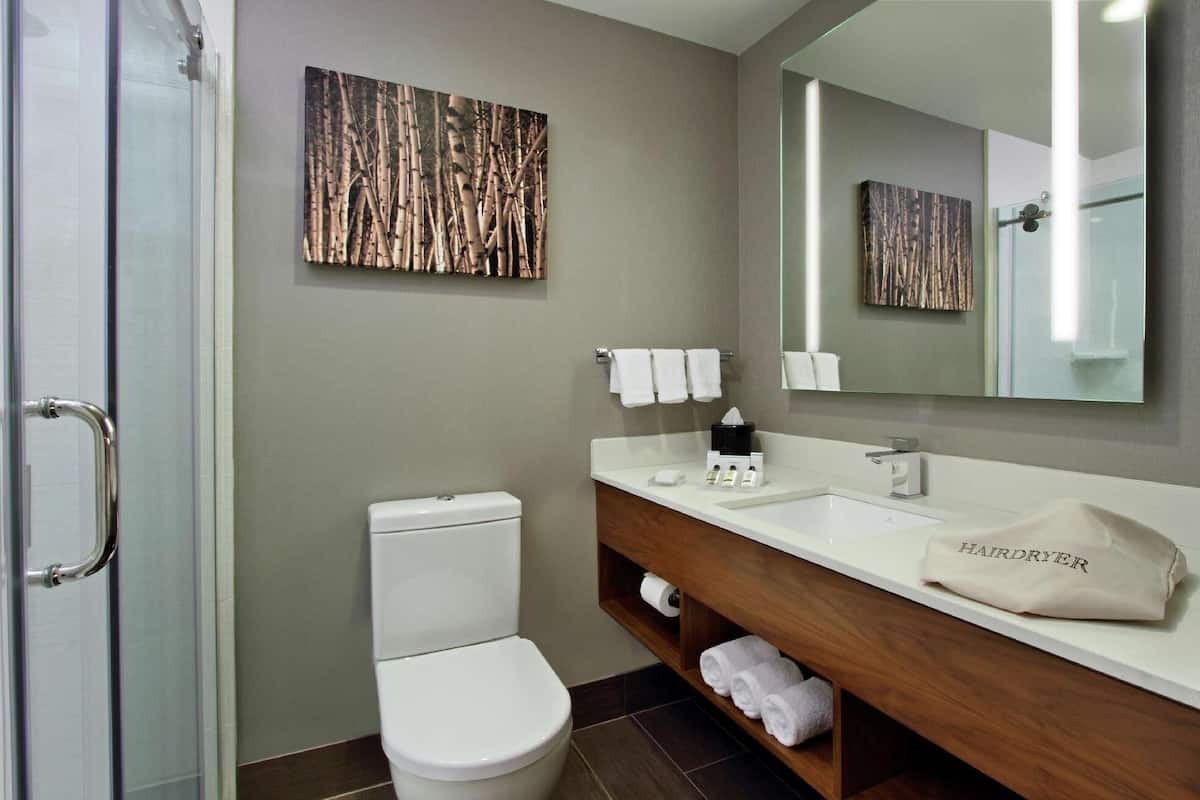 Baño | Regadera, amenidades de baño de diseñador, secadora de cabello, toallas