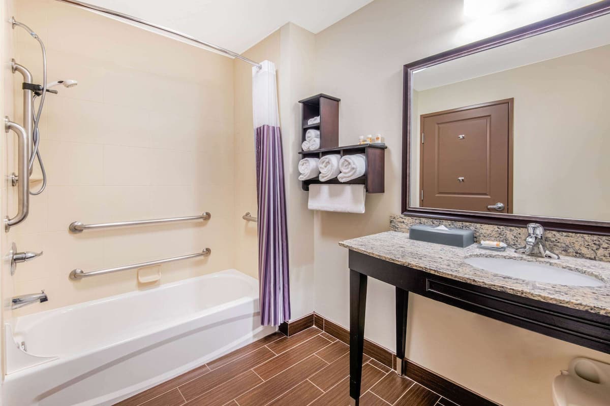 combined shower/bathtub, free toiletries, hair dryer, towels