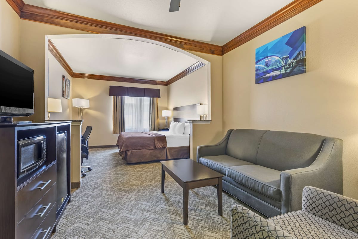 Suite, 1 King Bed, Non Smoking, Refrigerator & Microwave (with Single Sofabed) | Desk, laptop workspace, blackout drapes, iron/ironing board
