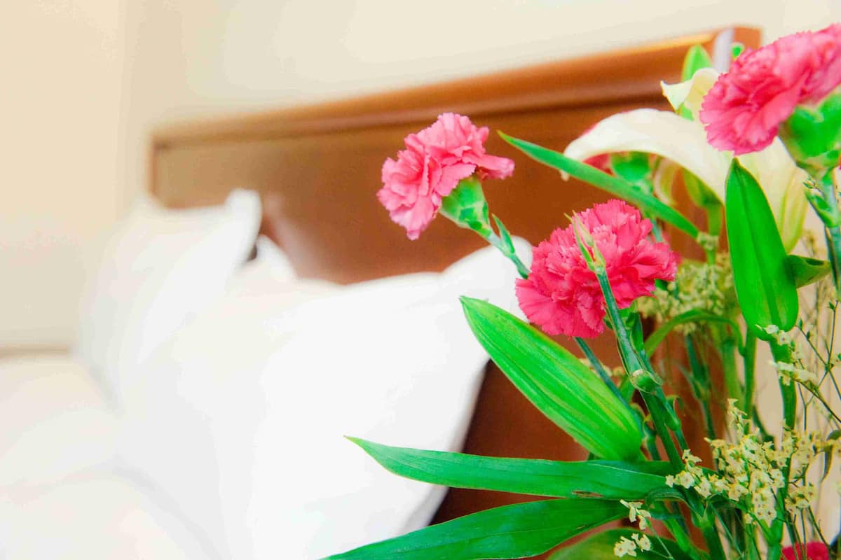 Chambre Familiale | Coffres-forts dans les chambres, bureau, Wi-Fi gratuit