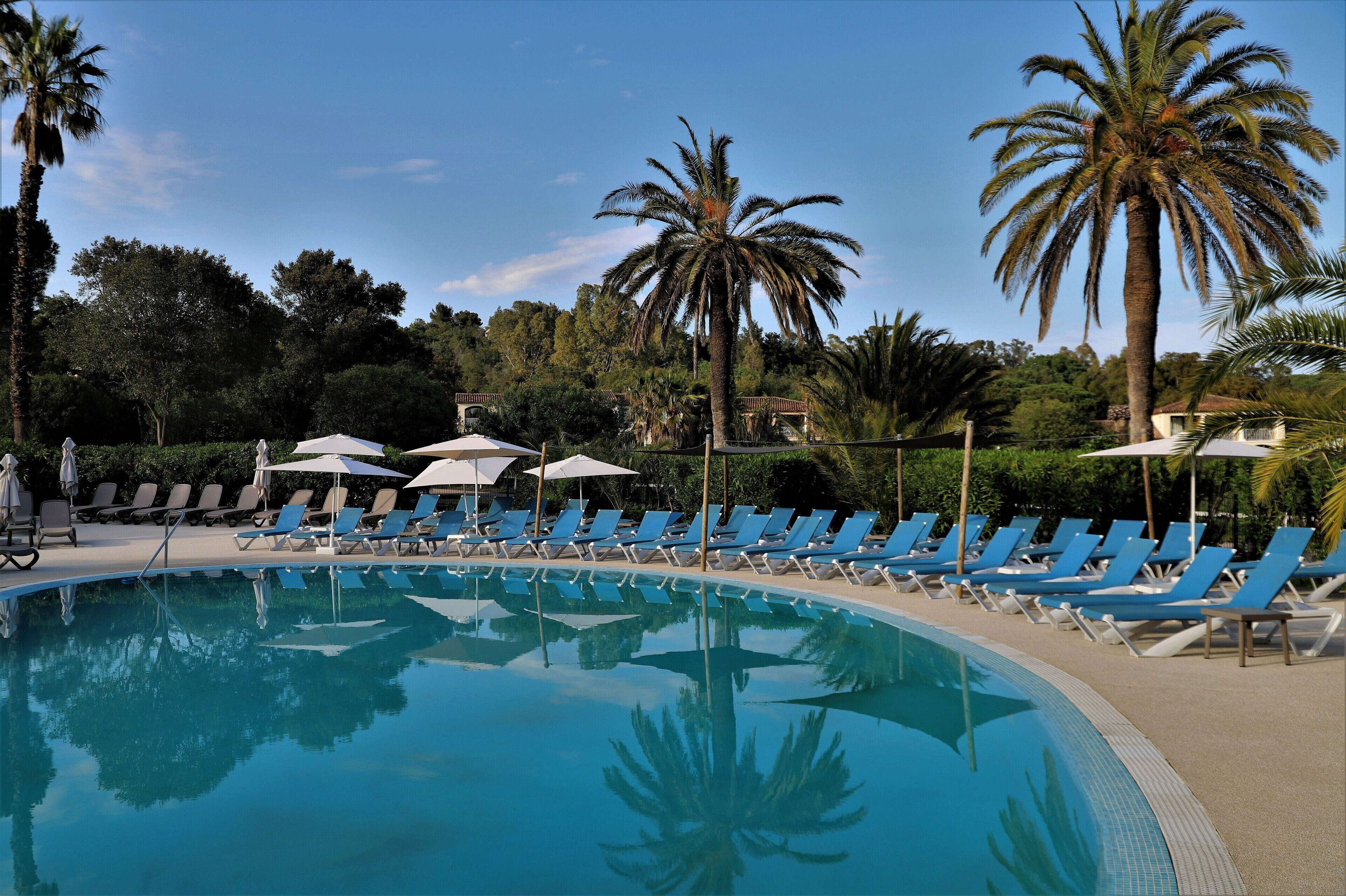 A pool area with blue lounge chairs and umbrellas, surrounded by palm trees and greenery.