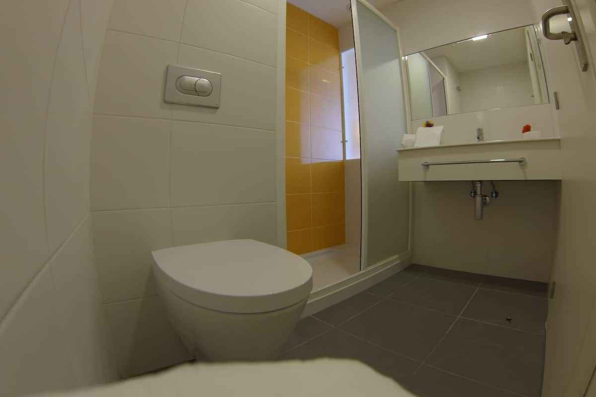 shower, free toiletries, hair dryer, towels