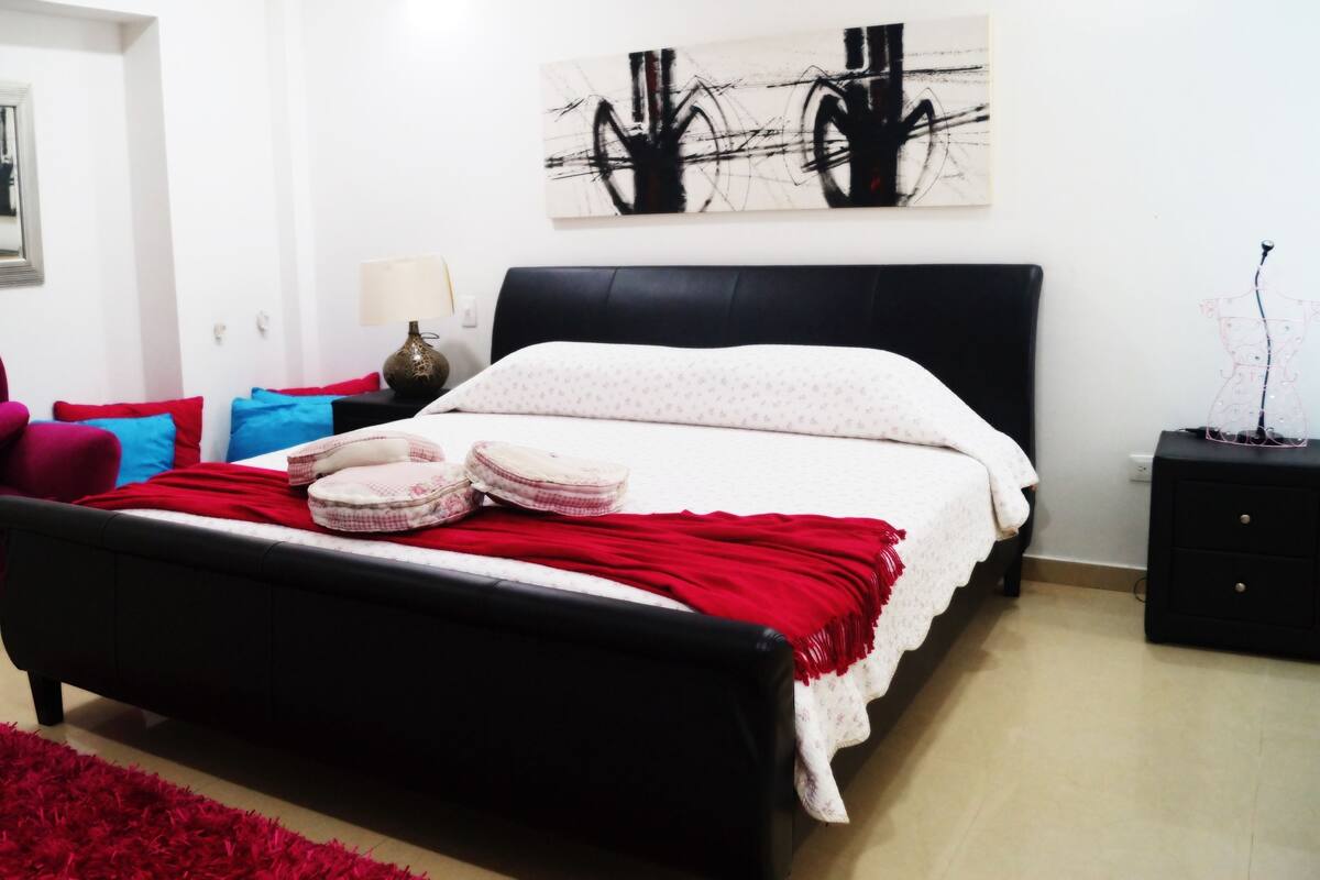 A bedroom with a black bed, red and blue pillows, a red rug, a chair, a nightstand, and a wall art piece.