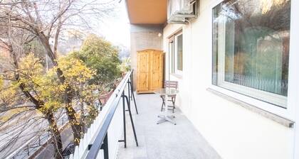 B&B Colorful Suite Yard