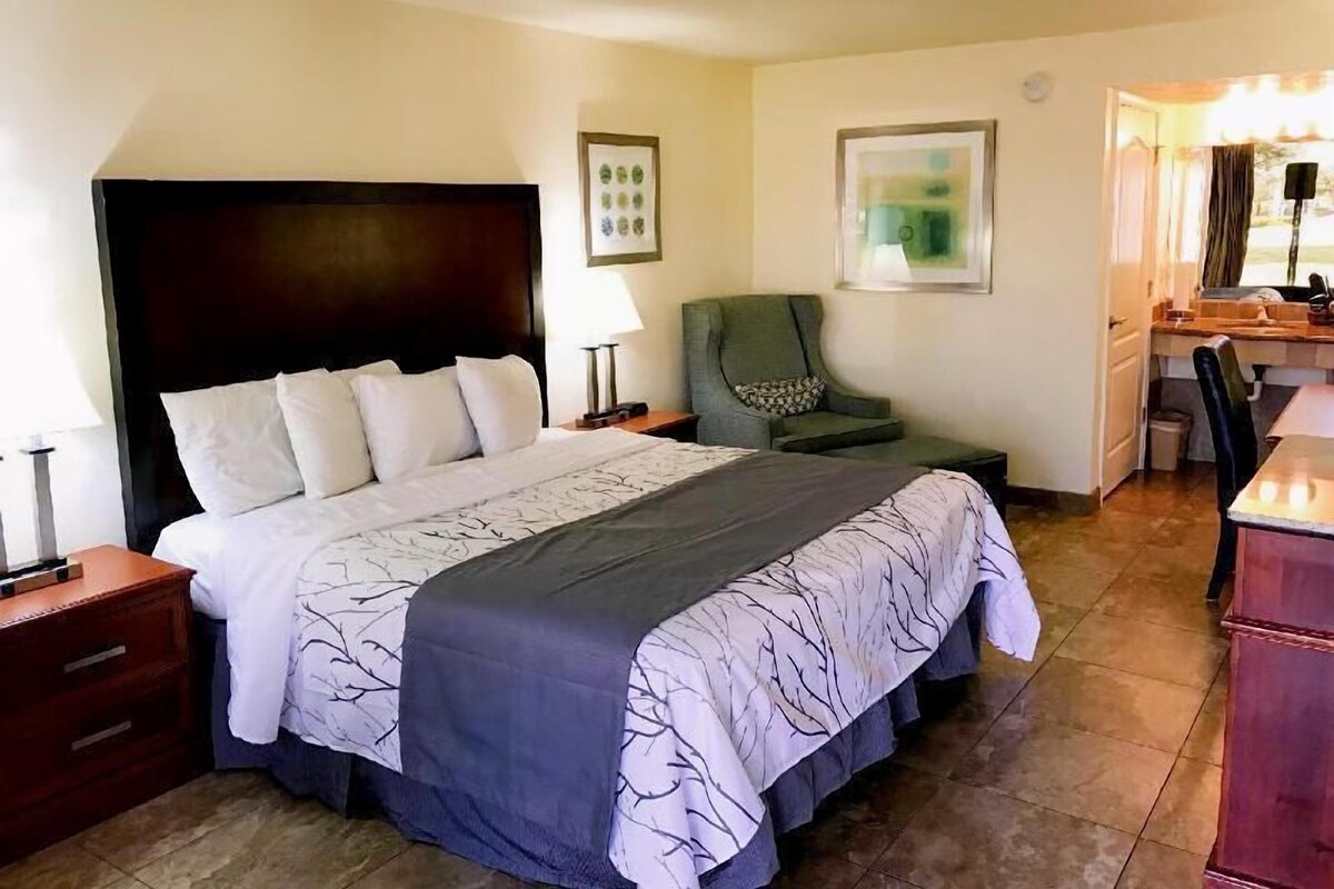 A hotel room with a large bed, a chair, a desk, and a mirror.