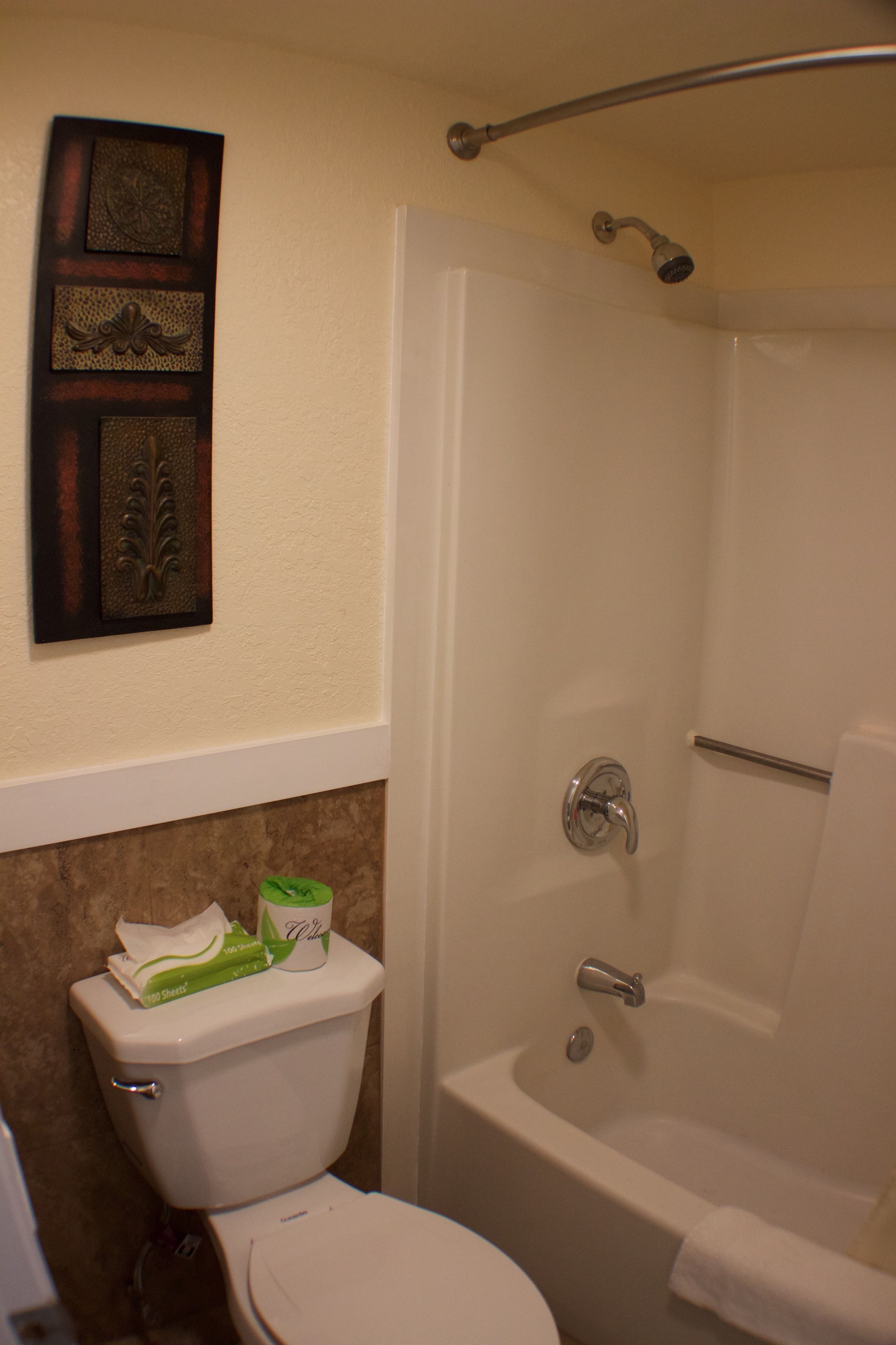 A bathroom with a toilet, a bathtub, and a shower.