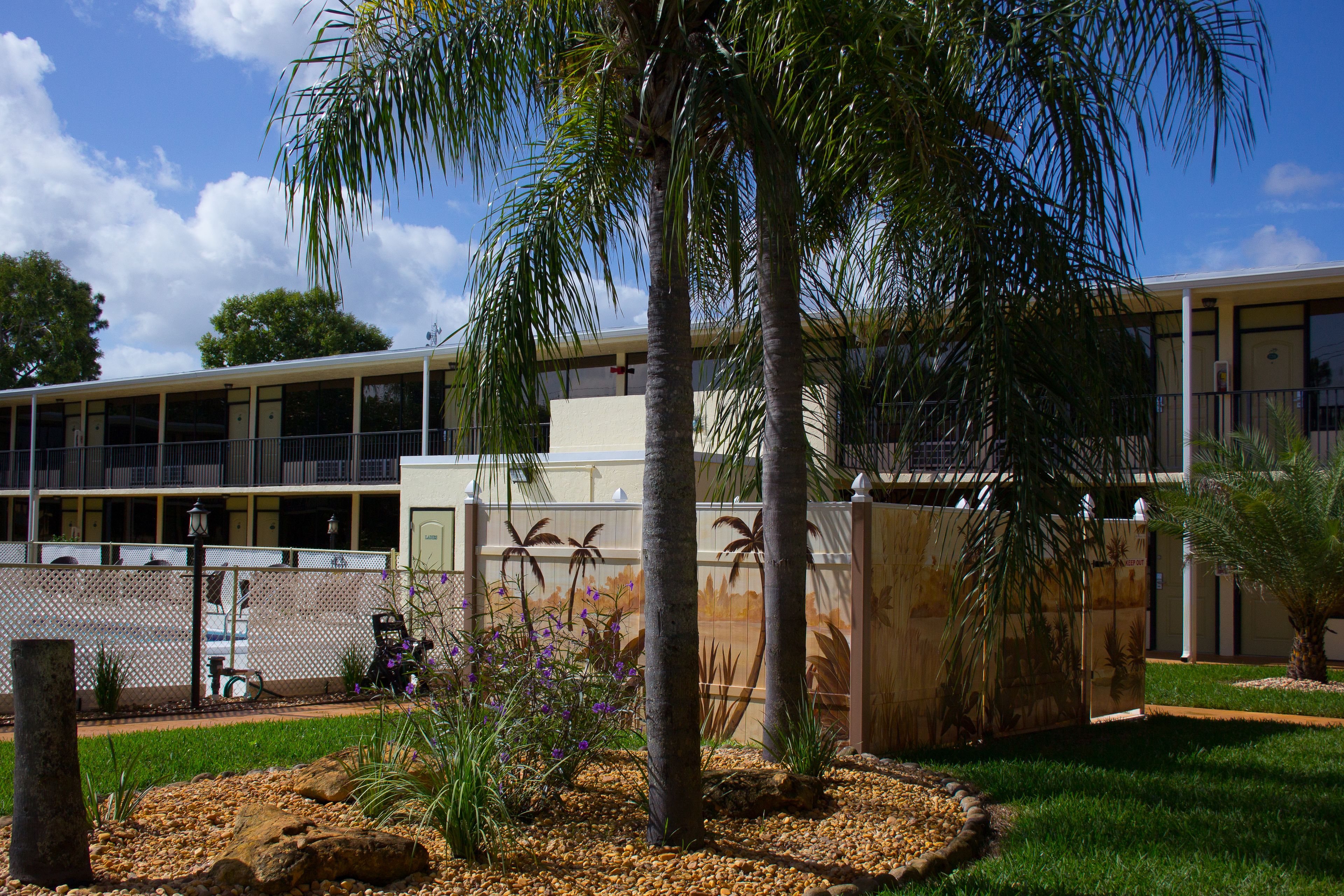 A building with a flat roof, large windows, and a fenced outdoor area with palm trees and plants.