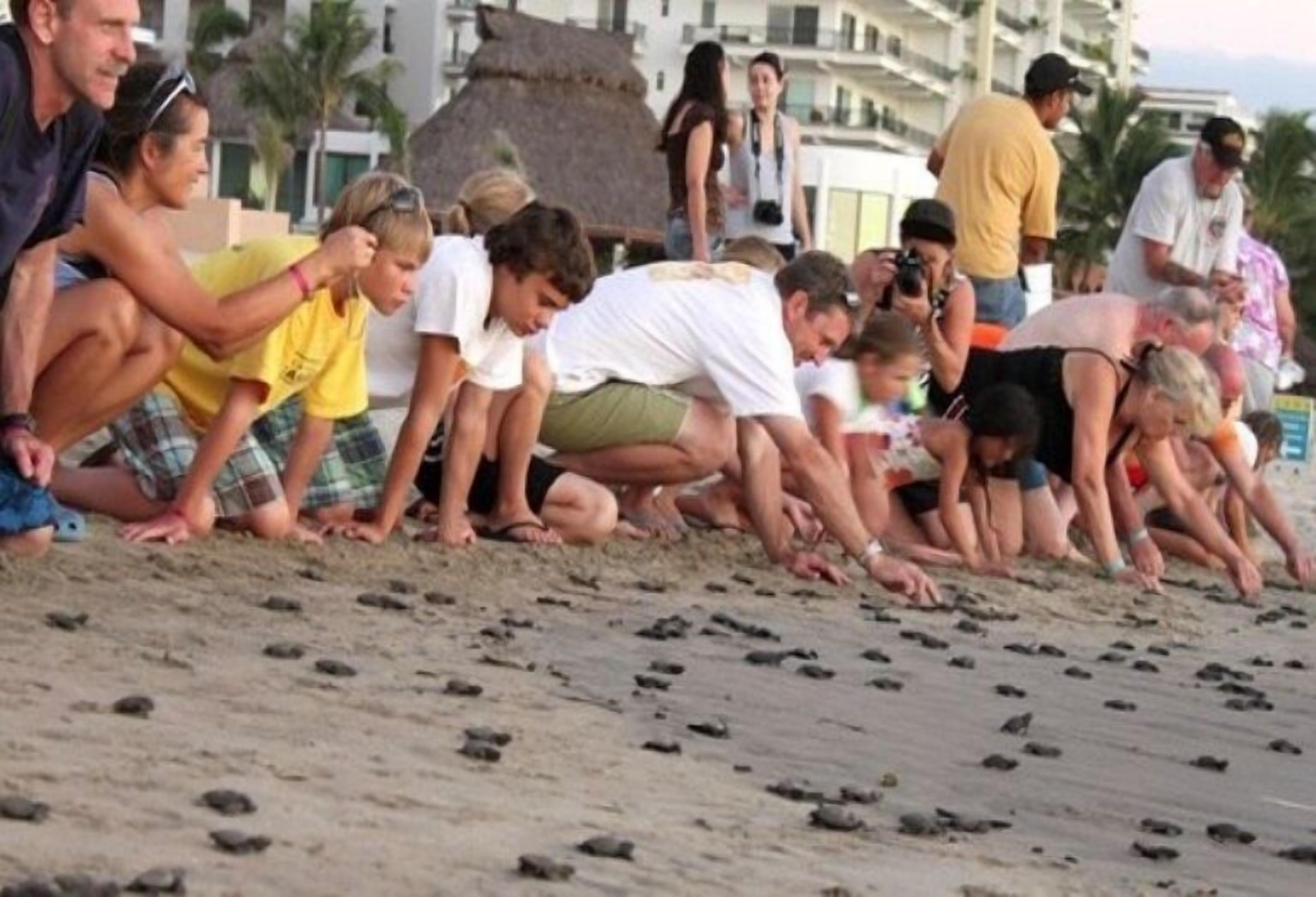 Un grupo de personas en la playa, algunas agachadas y otras de pie, observando el suelo.