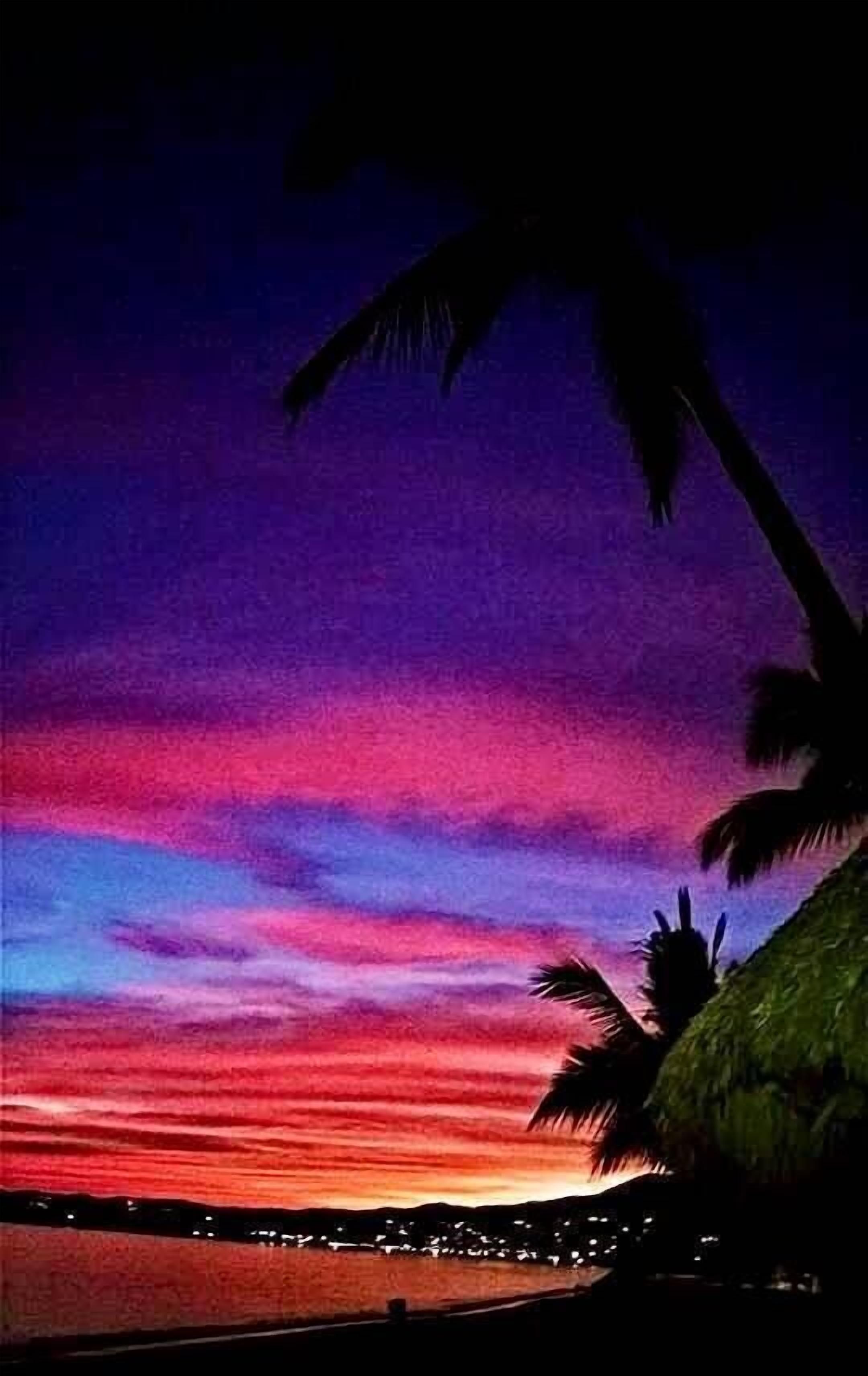 Un atardecer sobre una masa de agua, con palmeras y el perfil de una ciudad distante.