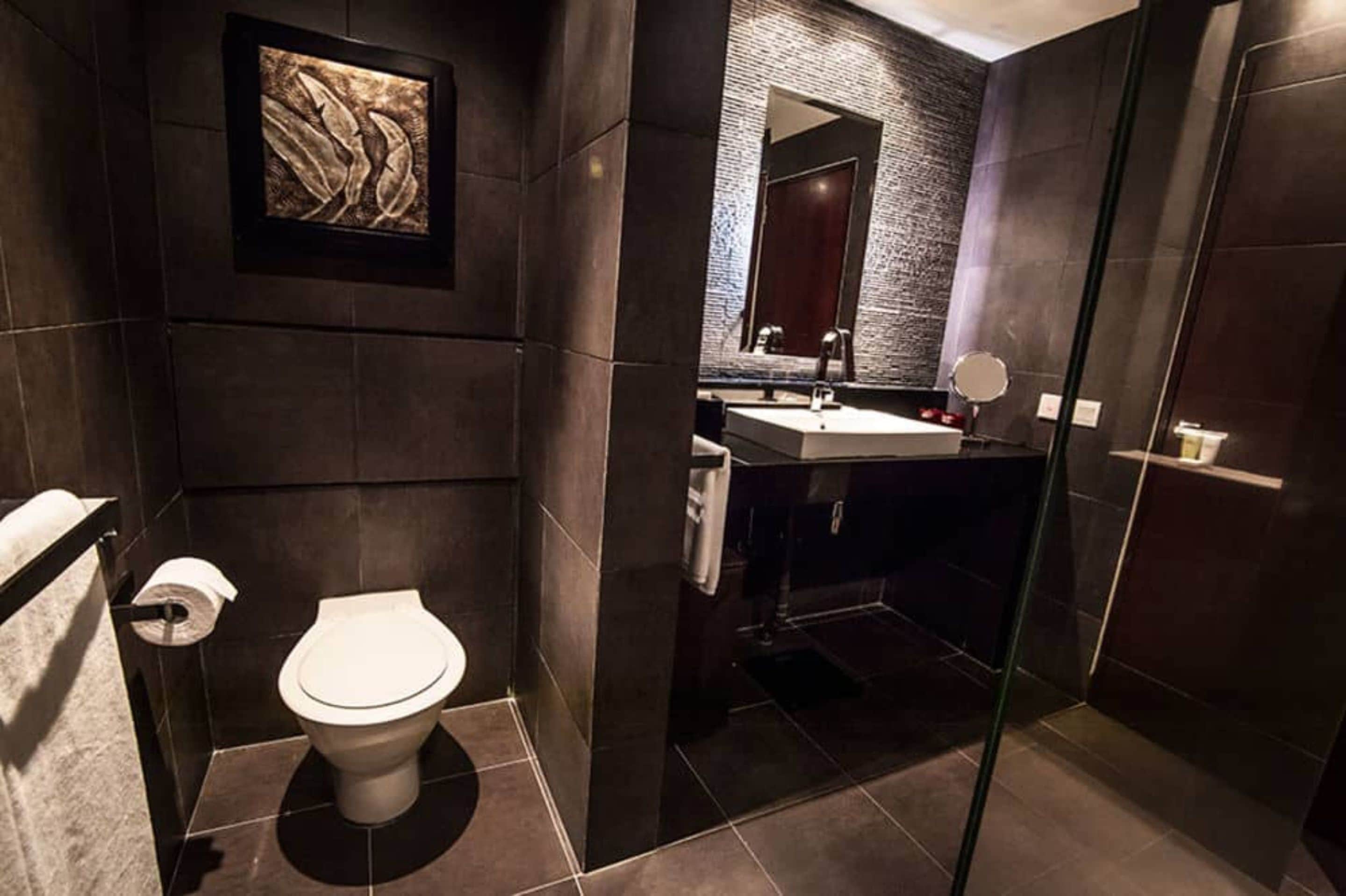 executive room | bathroom | shower, hair dryer, bathrobes, towels