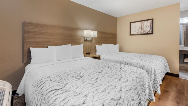 A hotel room with two beds, a nightstand, a lamp, and a framed picture on the wall. - Red Roof Inn Bourbonnais (Bourbonnais)