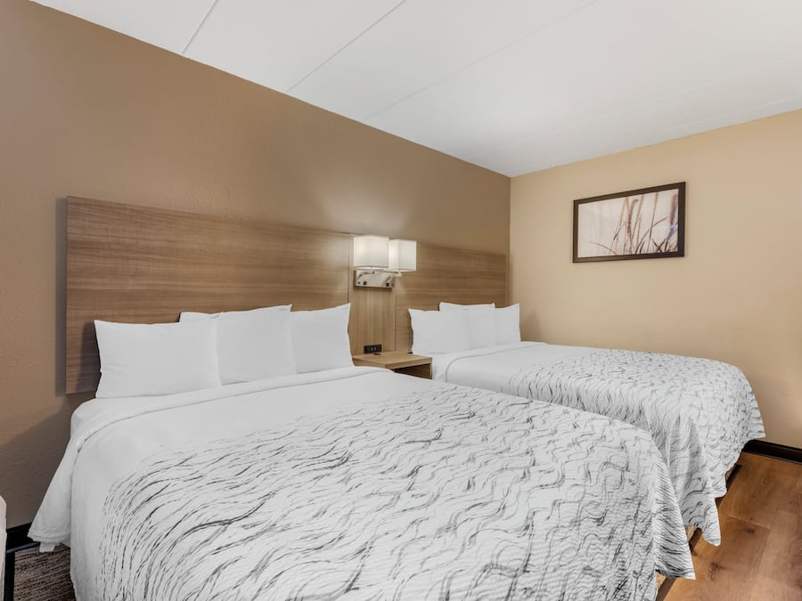 Habitación de hotel con dos camas, una mesita de noche, una lámpara y un cuadro en la pared.