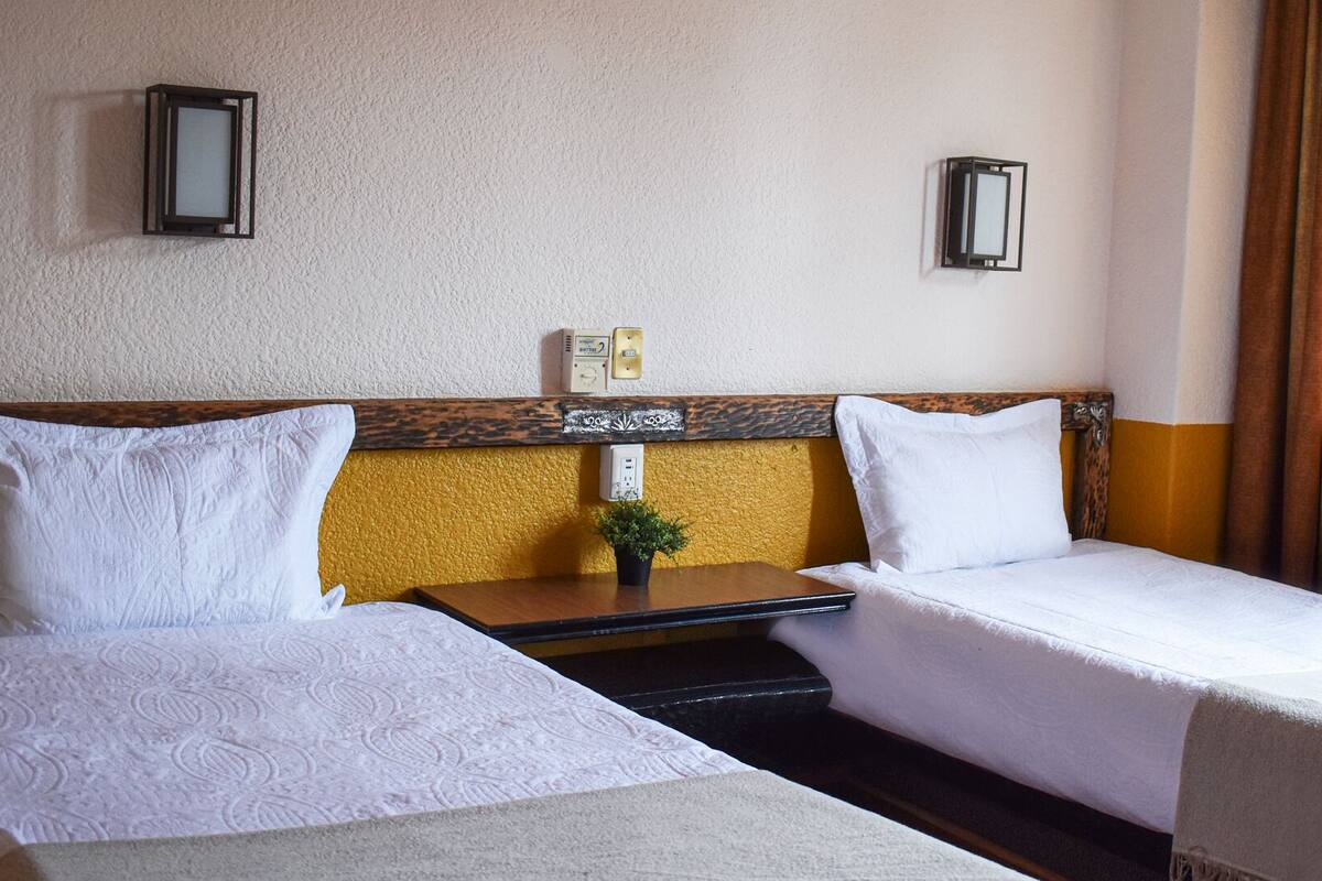 A hotel room with two single beds, a wooden headboard, a small table with a plant, and two wall-mounted lamps.