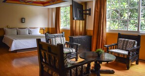Habitación Confort | Escritorio, tabla de planchar con plancha, wifi gratis y ropa de cama