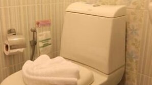 淋浴設備、免費盥洗用品、吹風機、毛巾