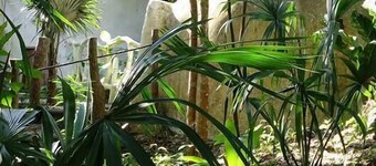 Kambulum Nature Eco-Villas