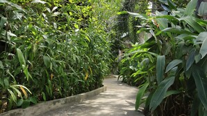 Garden - Bird of Paradise Bungalows (Kep)