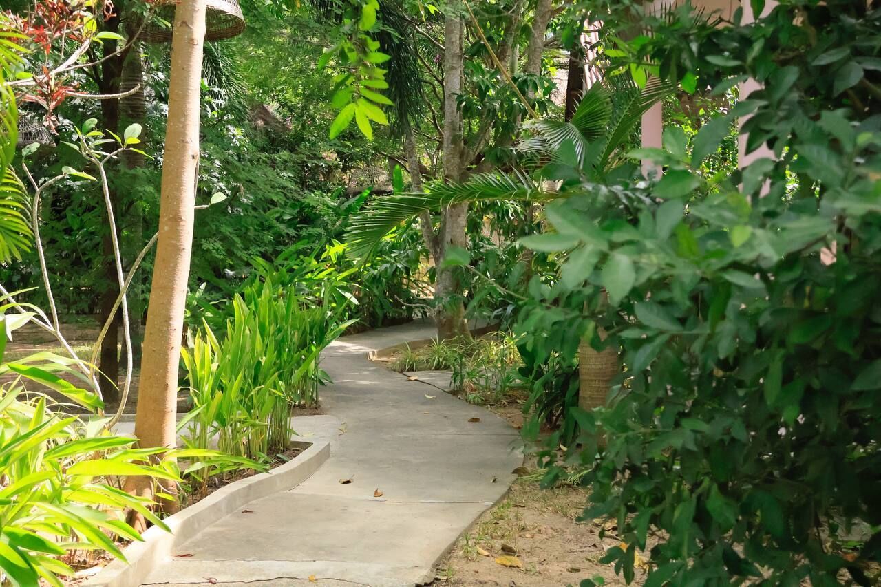 A concrete pathway winding through a lush garden with various plants and trees.