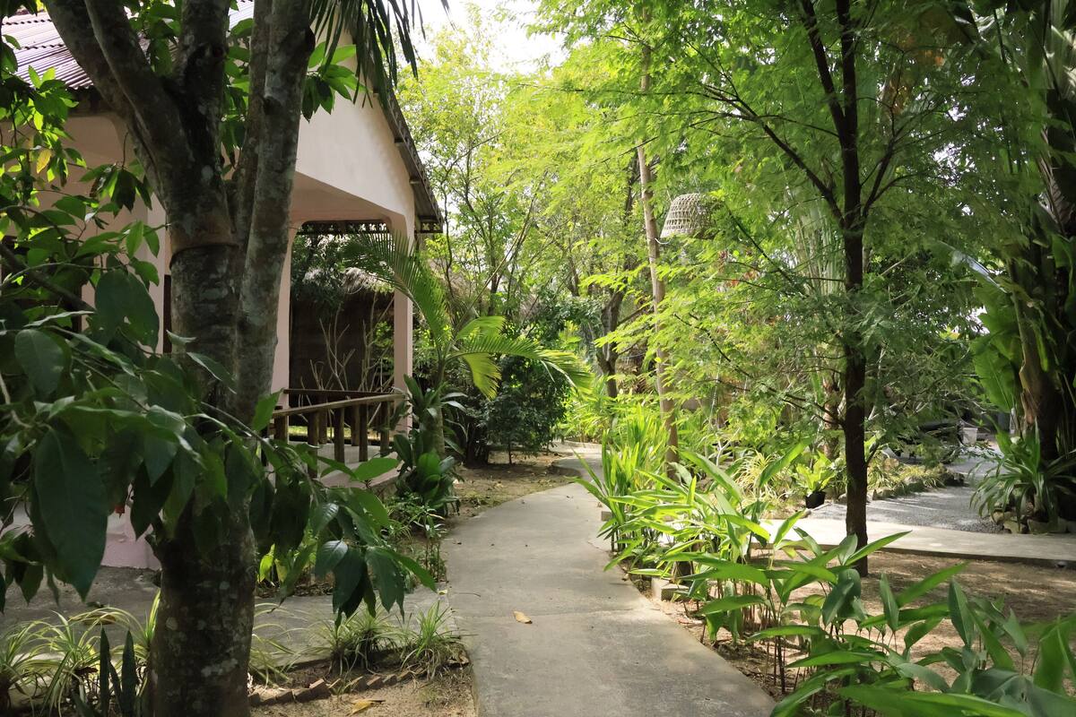 A pathway leading through a lush garden with various plants and trees.