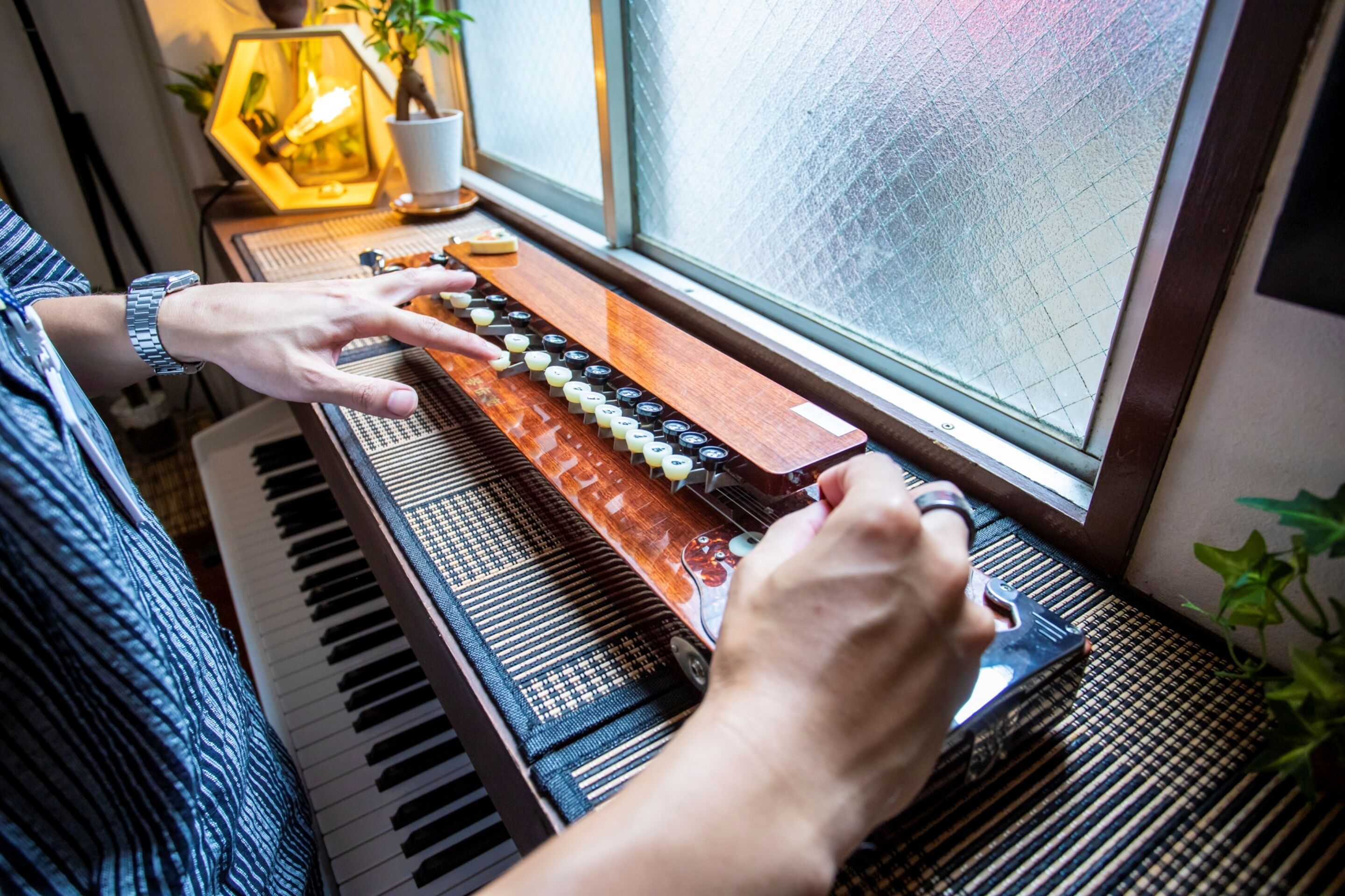 Foto - Peace House Sachi