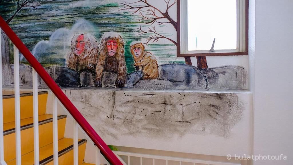 Foto - Peace House Sachi