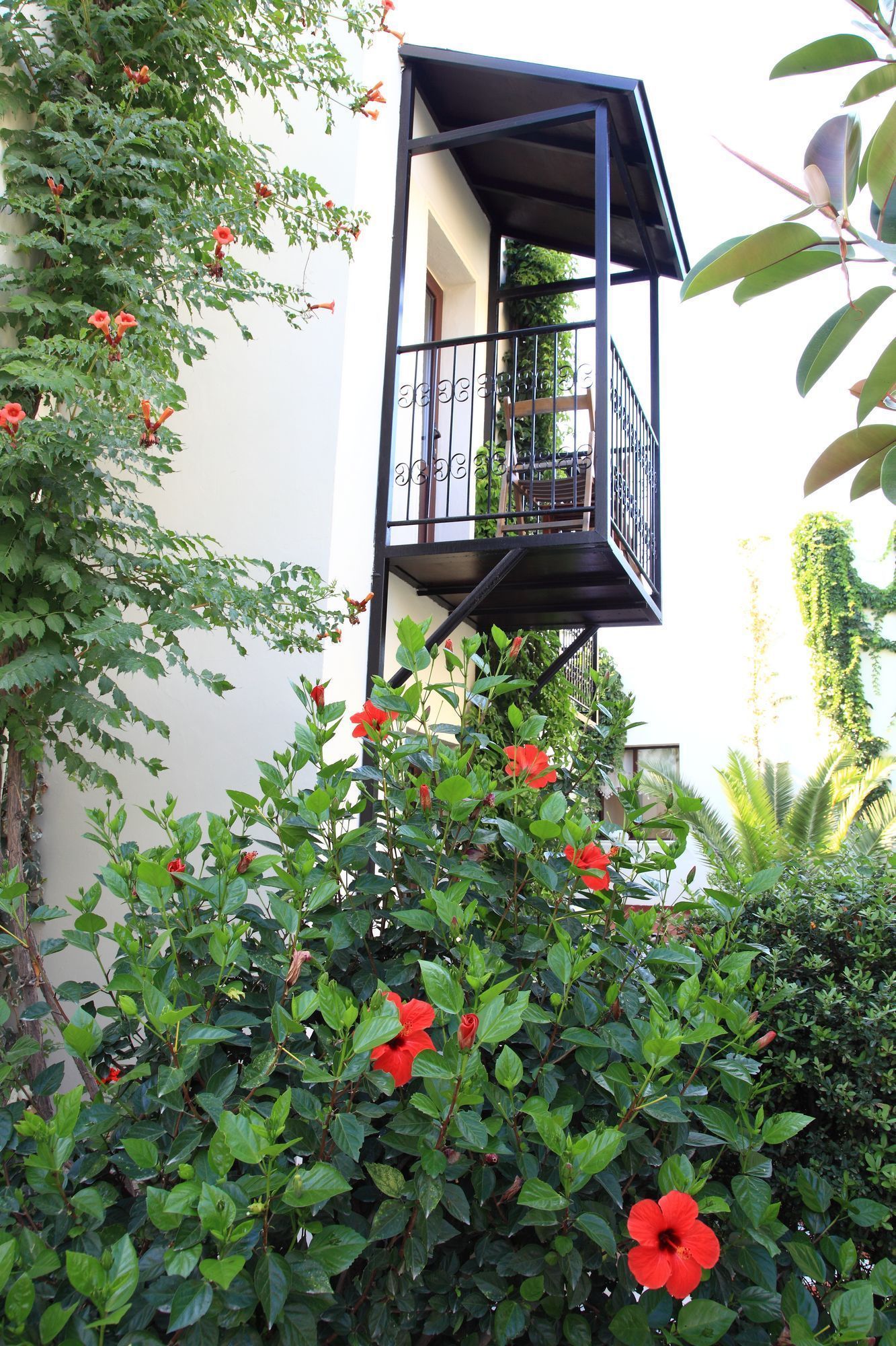 Standard Double or Twin Room | Balcony