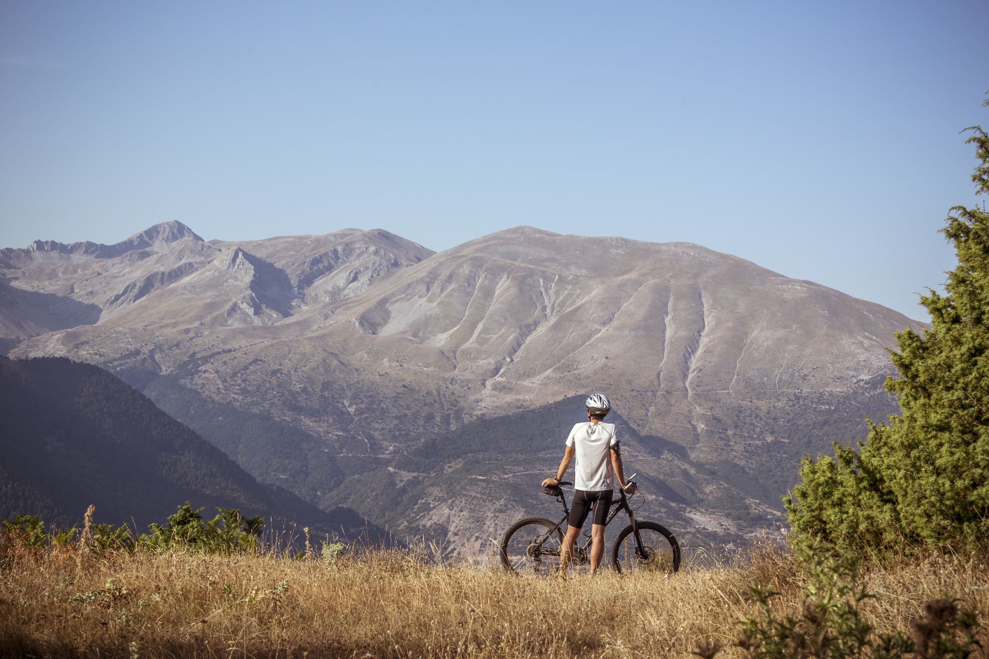 A mountain biker standing on a grassy hill with a view of a mountain range in the background.