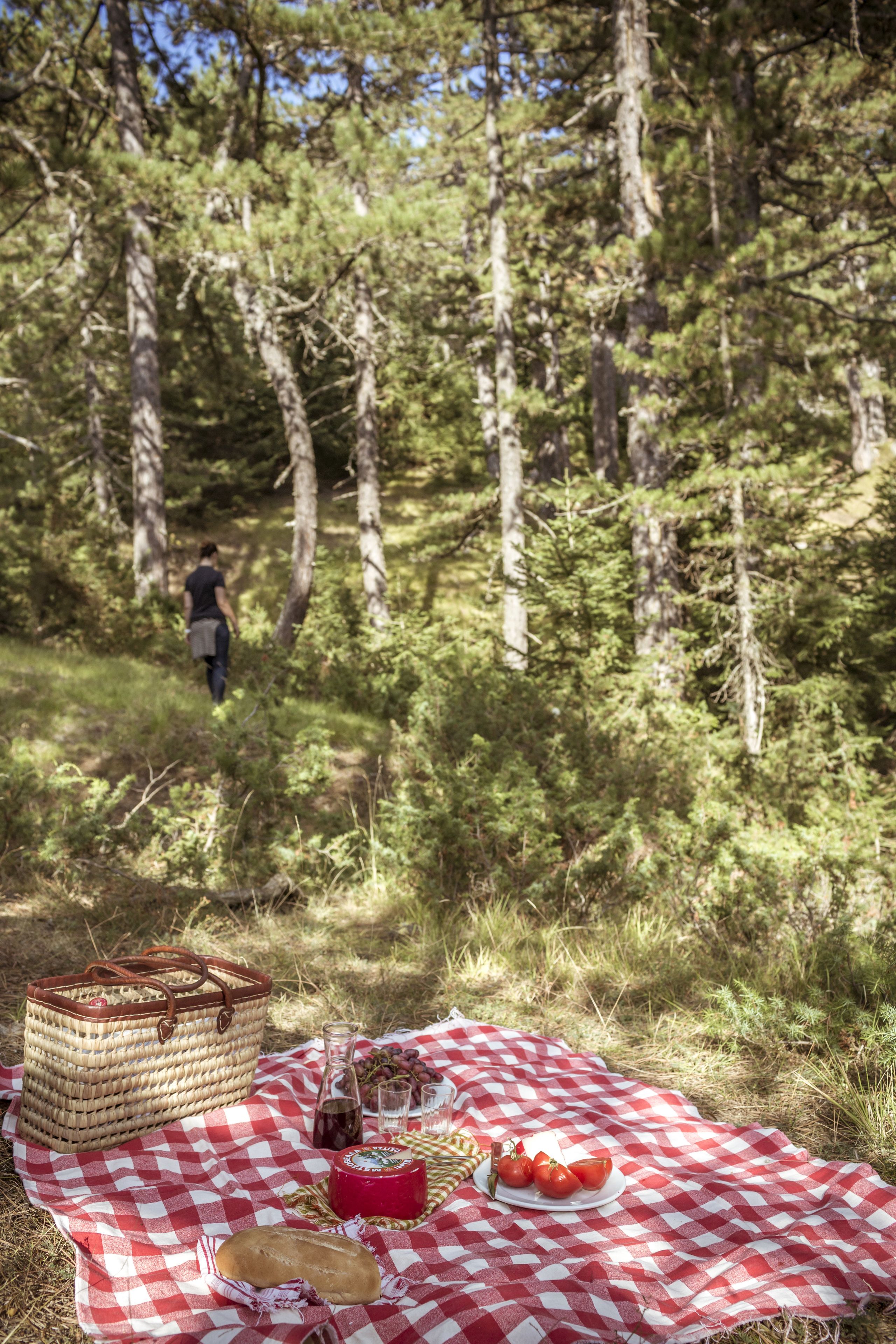 A picnic setup with a checkered blanket, basket, cheese, tomatoes, and a bottle in a forest.