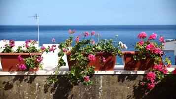 Superior dubbelrum - privat badrum - havsutsikt