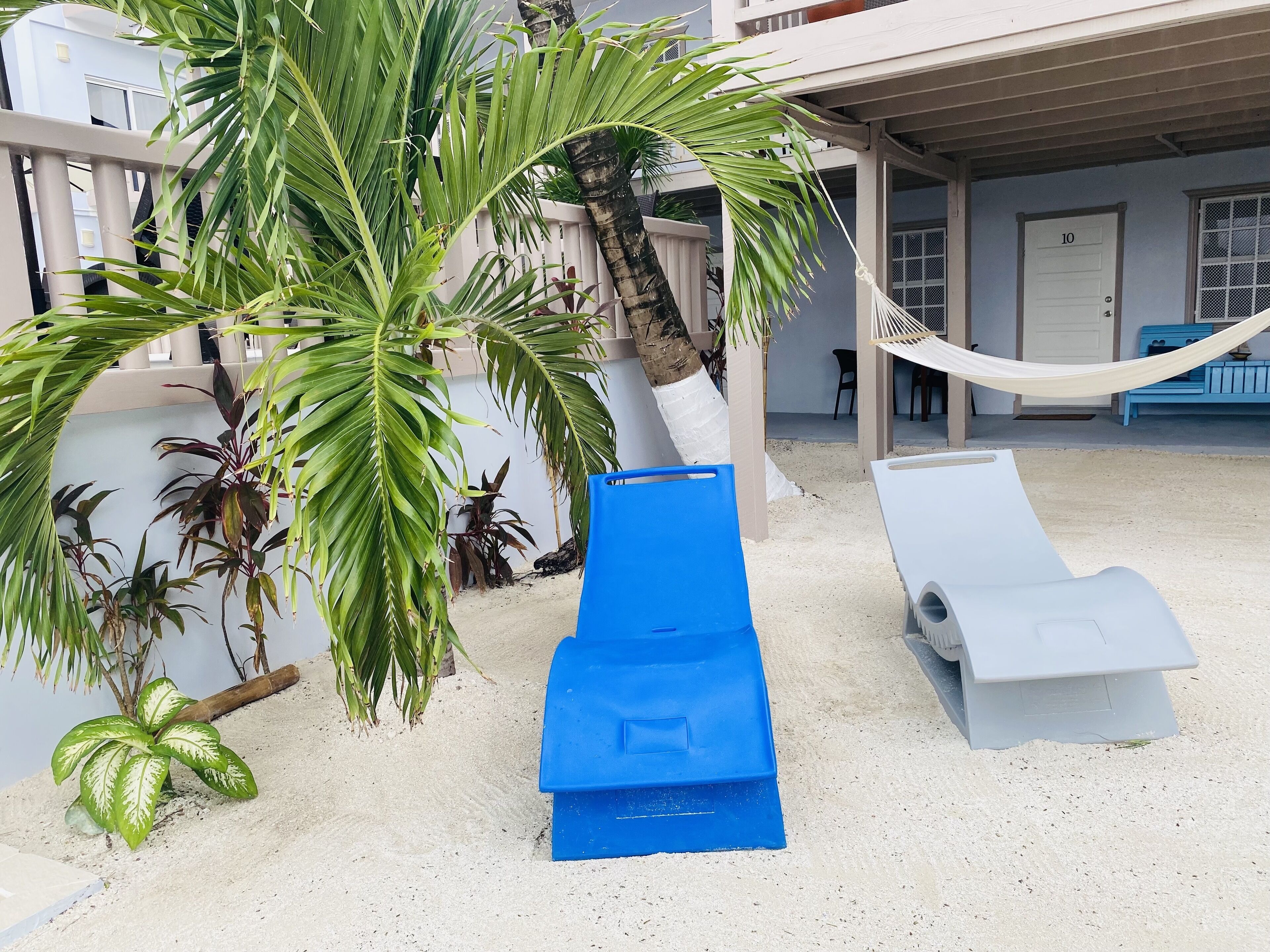 Un hotel sulla spiaggia con una palma, uno scivolo blu e un'amaca.
