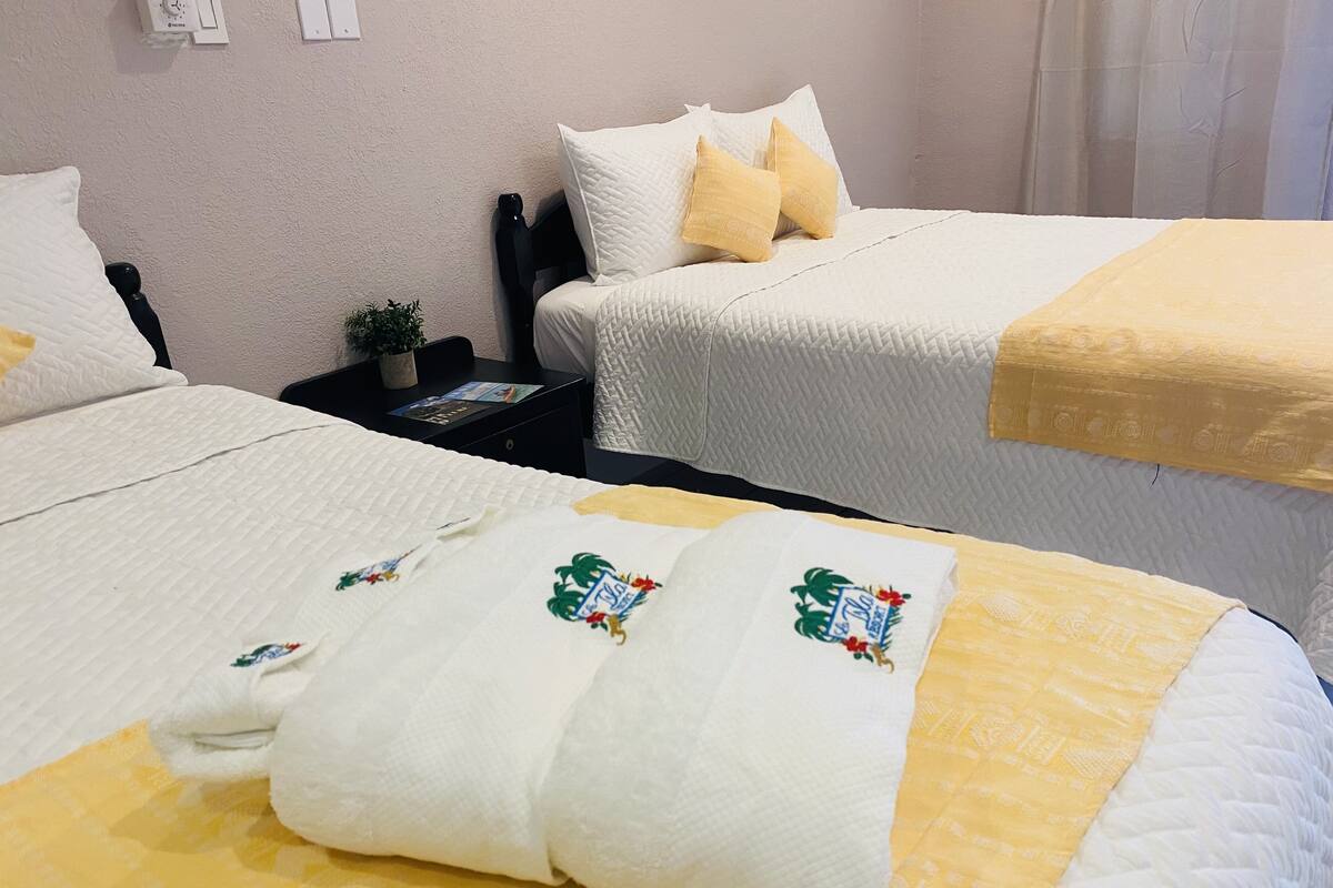 A hotel room with two beds, each with a different colored bedspread. There is a small table with a plant and a book on it.