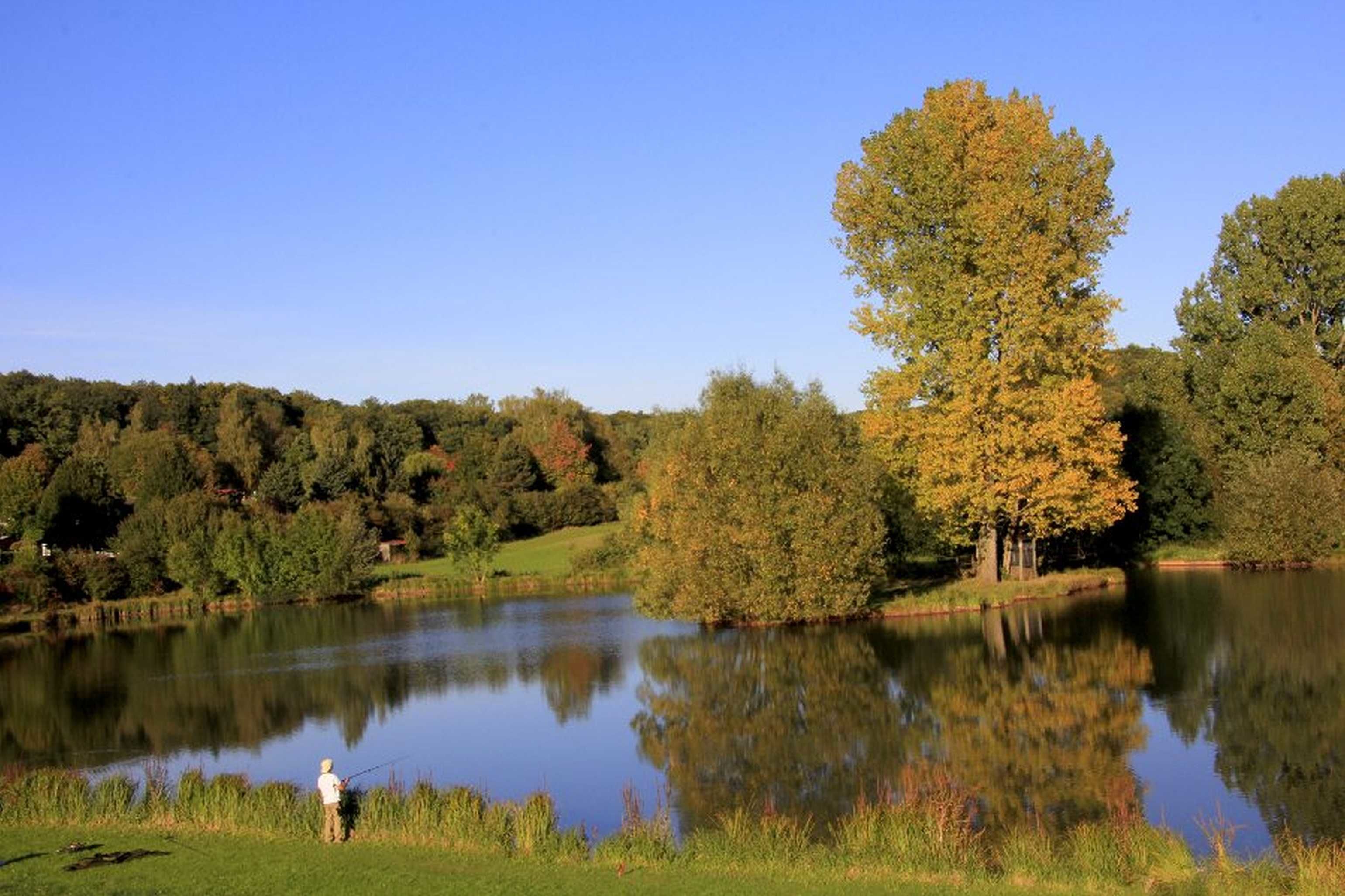A serene lake with a person fishing, surrounded by trees and a clear sky.