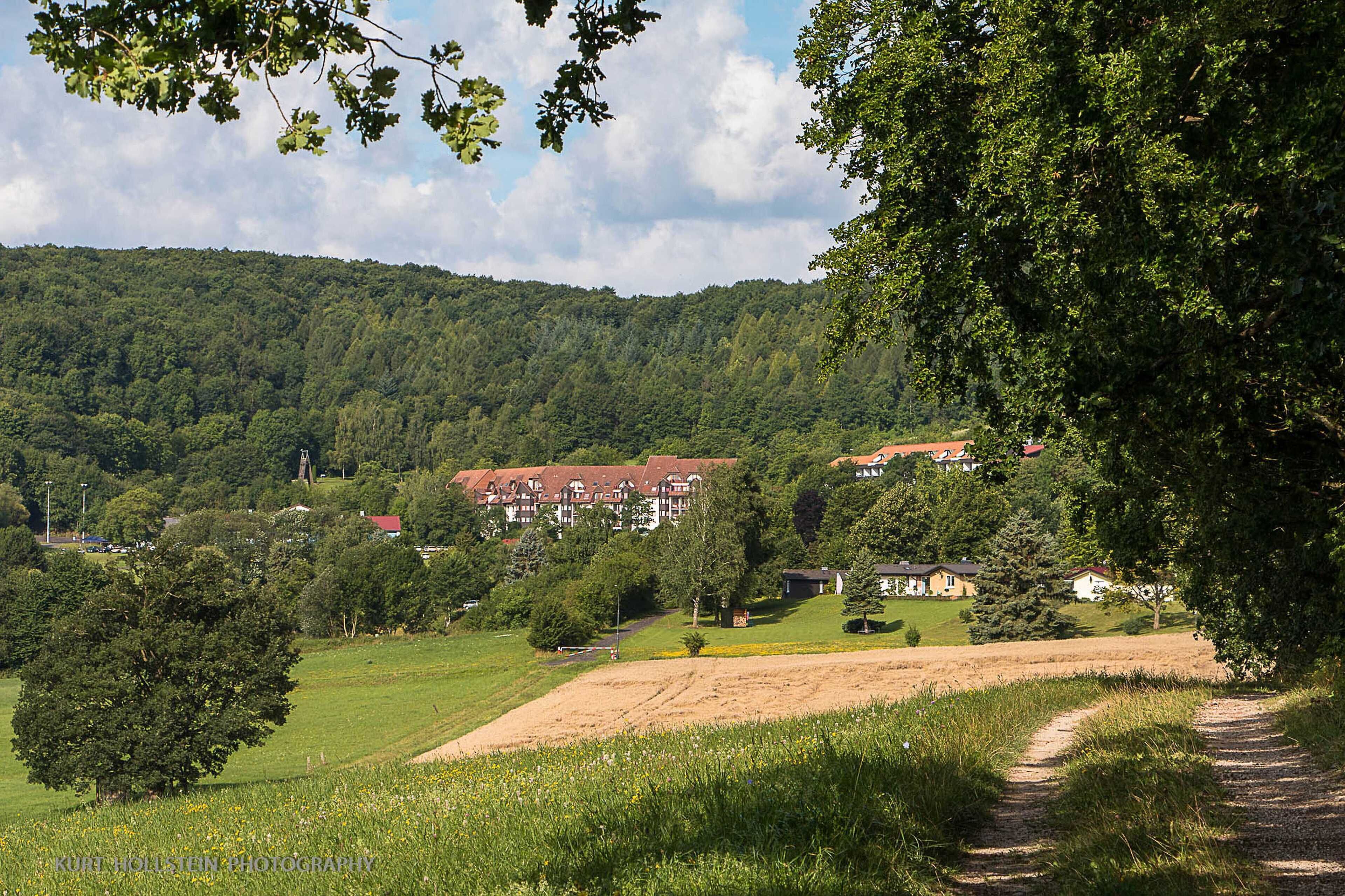 Ländliche Landschaft mit einem Pfad, der zu einer Häufung von Häusern inmitten von Bäumen und einem Hügel im Hintergrund führt.