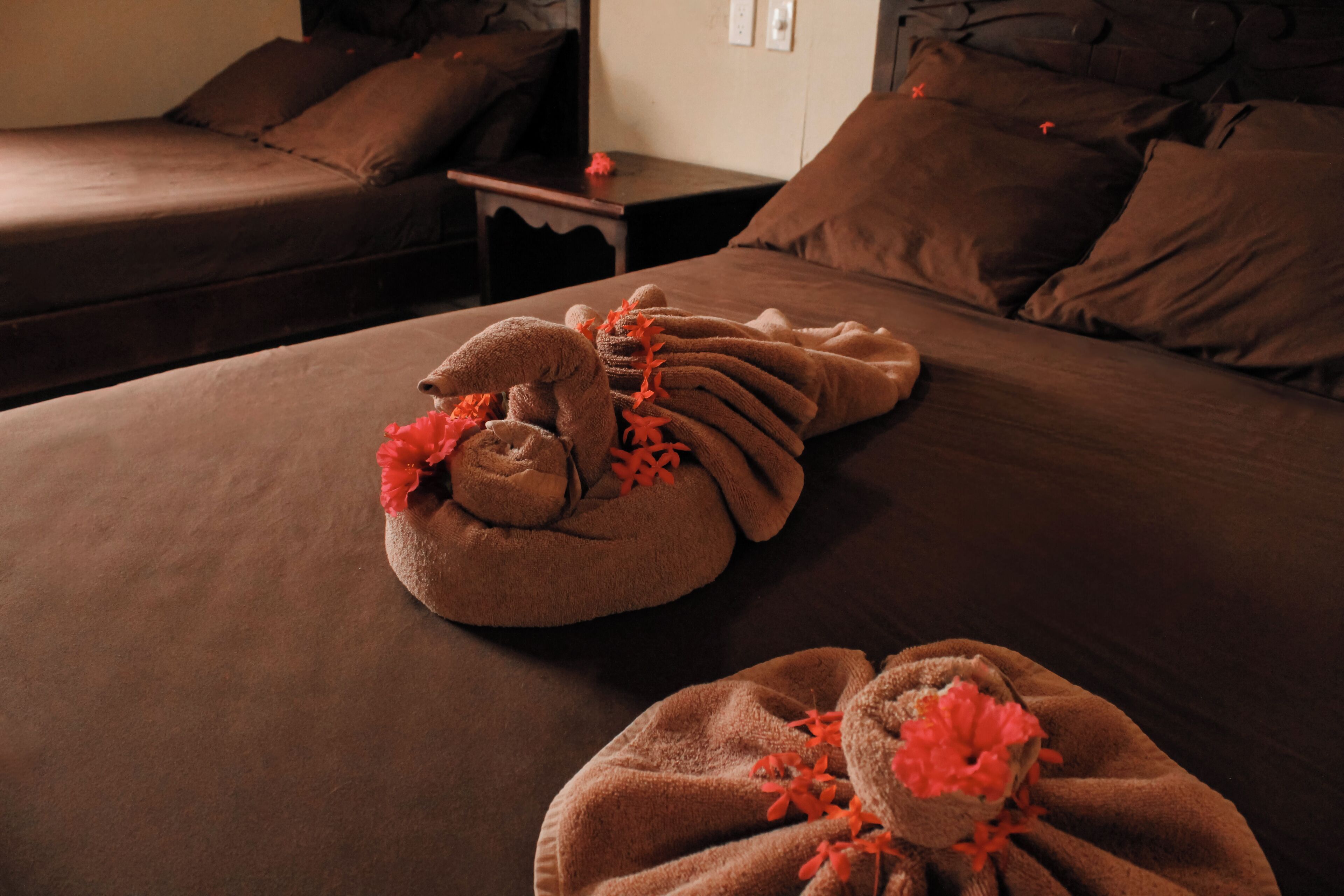 Rideaux occultants, fer et planche à repasser, Wi-Fi gratuit