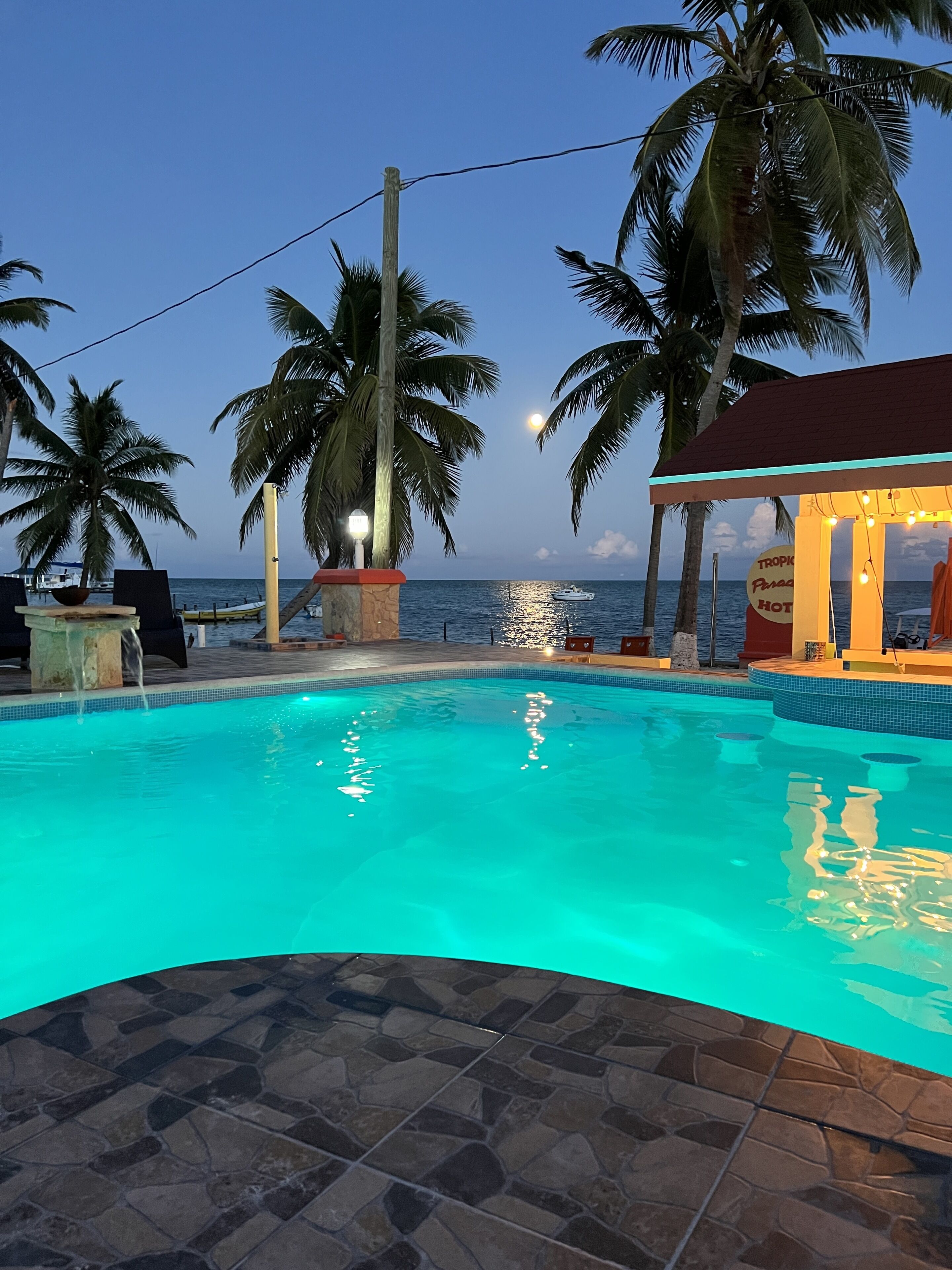 Outdoor pool, pool umbrellas, pool loungers