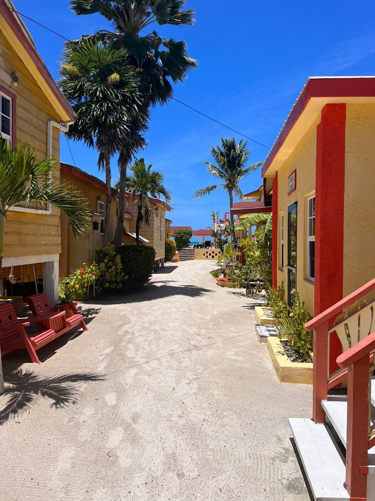 Una calle estrecha bordeada de edificios coloridos, palmeras y mesas al aire libre.