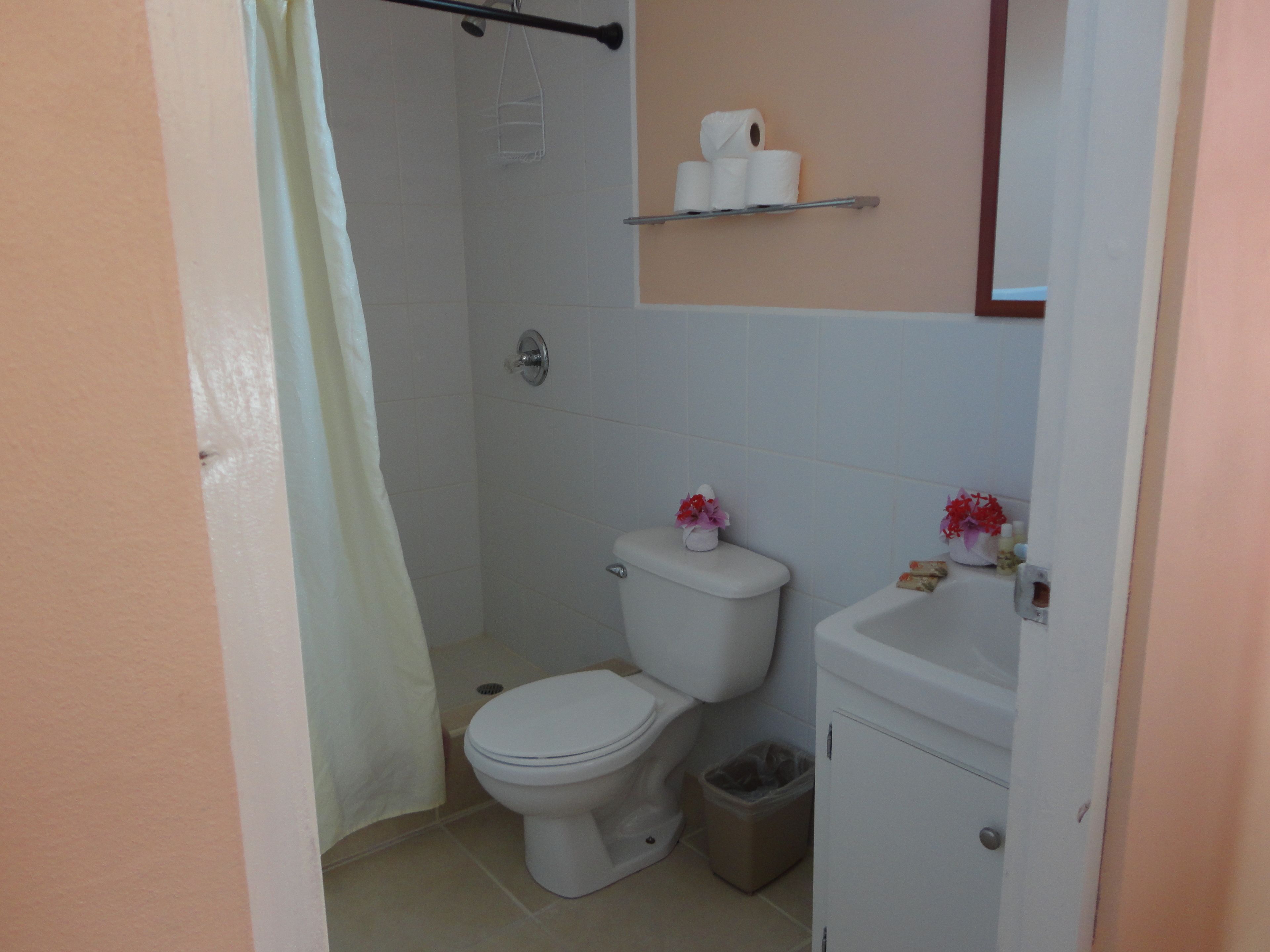 Een badkamer met toilet, douche en wastafel.