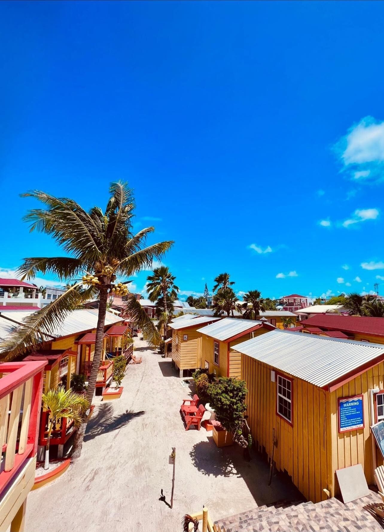 A row of wooden buildings with red roofs, a palm tree, and a clear blue sky.