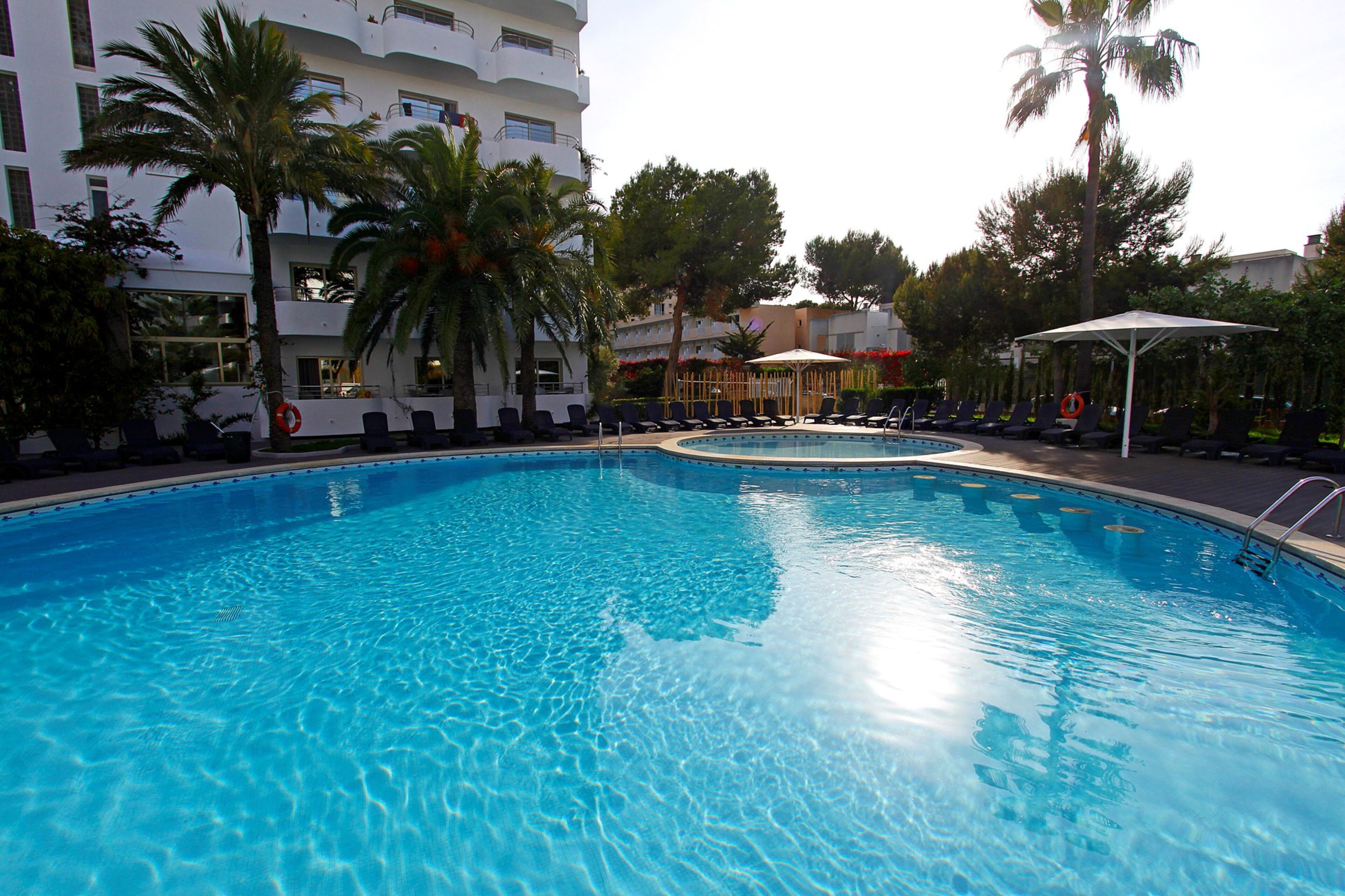 Una piscina amb gandules i palmeres.