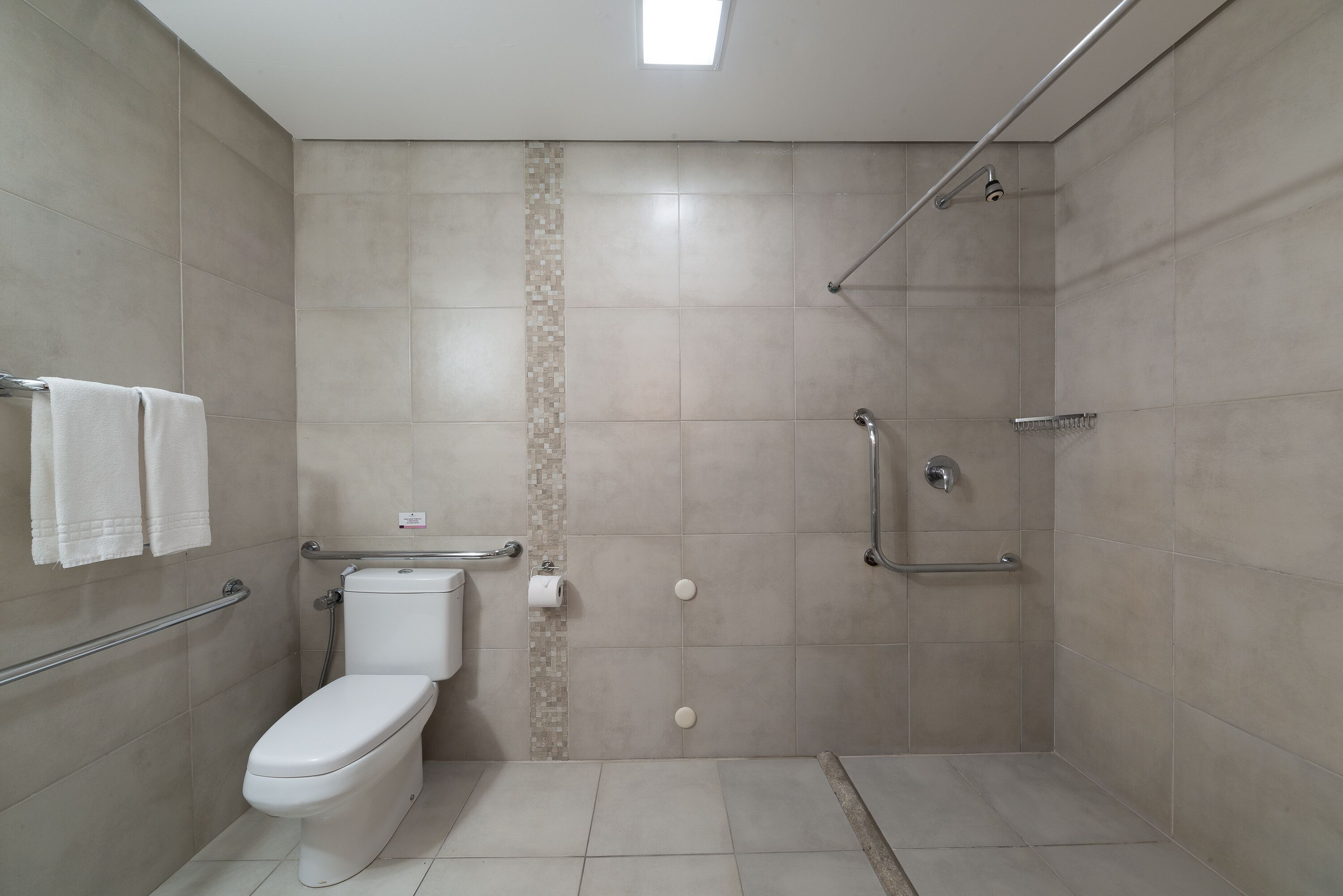 A small, modern bathroom with a toilet, a shower, and a grab bar.