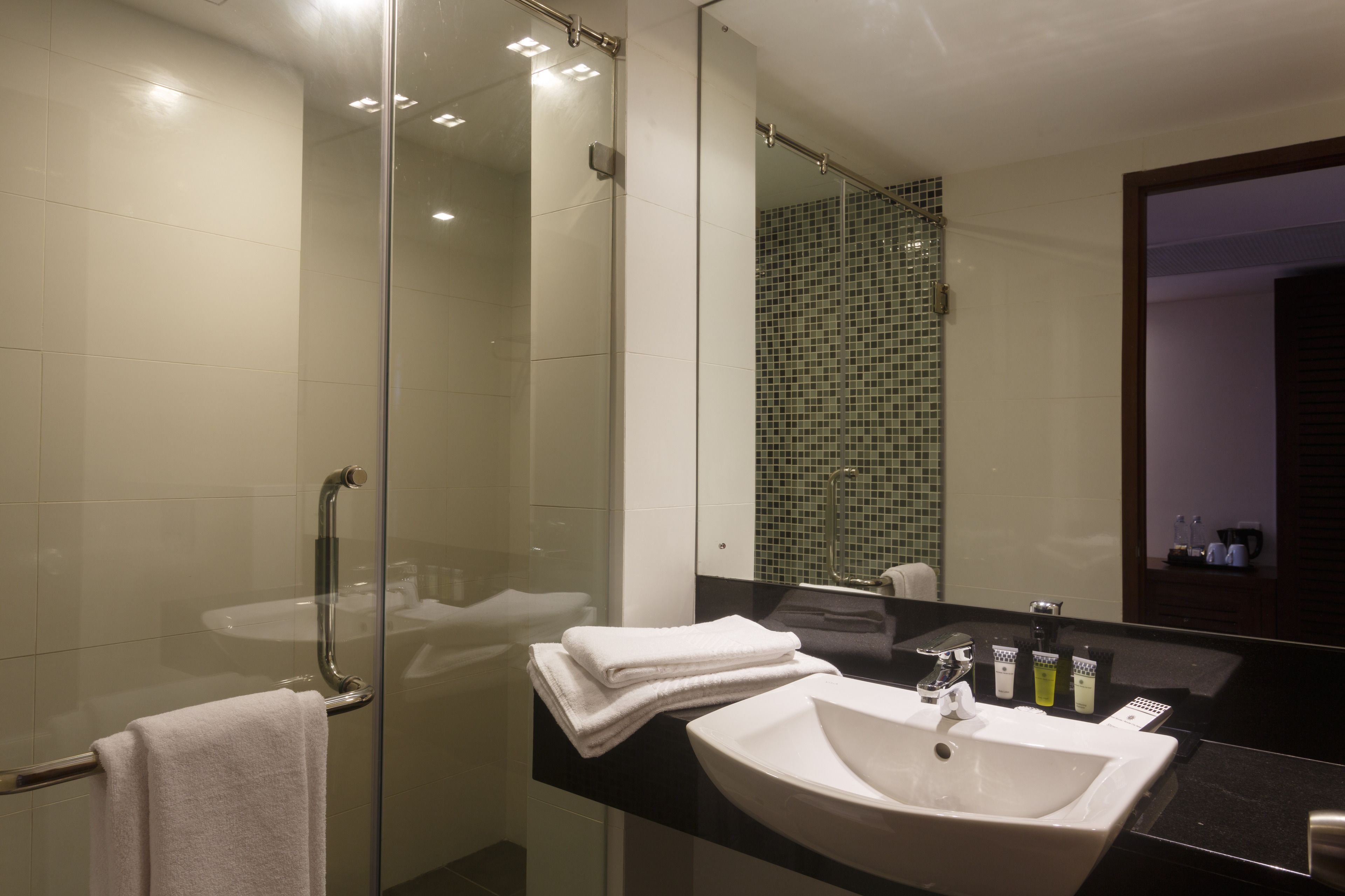 super deluxe room | bathroom | shower, free toiletries, hair dryer, bidet