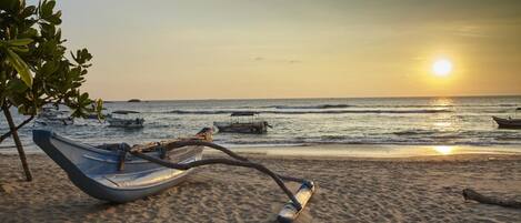 A beach with a boat and a tree.